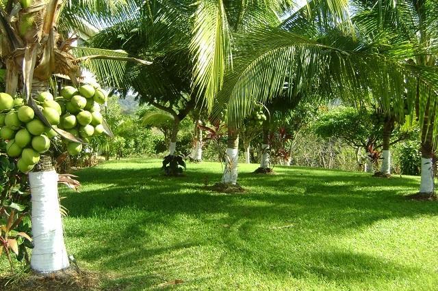 Villa Guarias Puntarenas Exterior foto